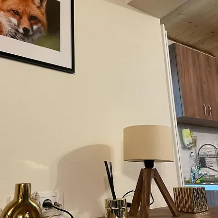 Planinska Kuca Andjela 2 Tatil Evi Mitrovac