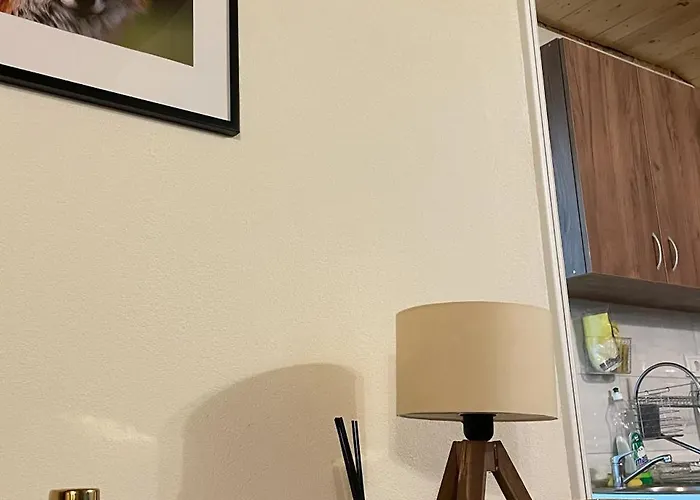 Planinska Kuca Andjela 2 بيت للعطل ميترفاتس